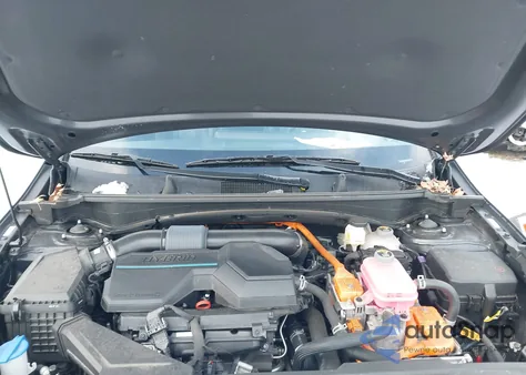 2023 Kia Sportage Hybrid Ex from USA, damaged, VIN KNDPVCAG8P7030958